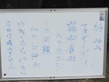 19i