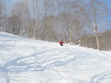 29b
