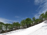 27c