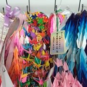 IMG_2382_R
