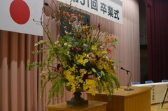 変換 ~ DSC_8880