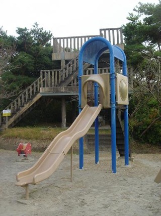 11843