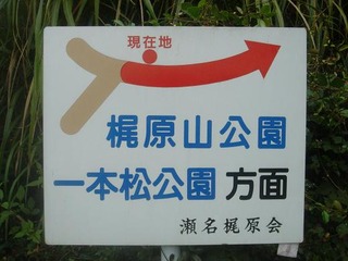 7835