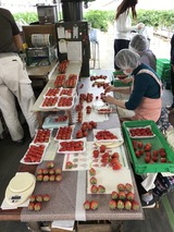 IMG_1357