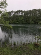 IMG_2972