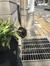 IMG_0110