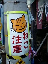猫グッズ6
