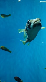 image%3A2712