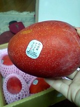 マンゴー