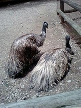 花鳥風園⑥