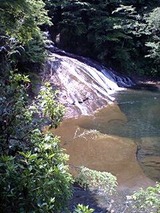 養老5