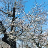 D63D8EC5-404D-4F40-9790-EC311D40E041