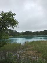 IMG_2970