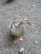 花鳥園⑧