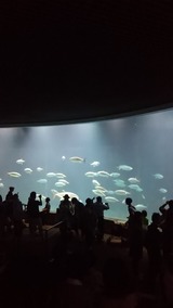 image%3A2691