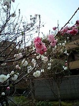 120416_1030~0001