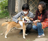 t_TKY201205090594[1]