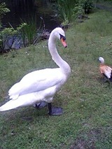 花鳥園10