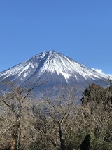 980A460A-83B1-408F-851A-24857A85BF59
