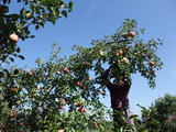 DSCF6781