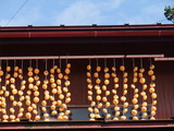 DSCF6851