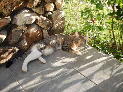 DSCN0652