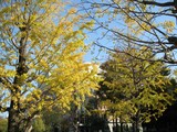公園