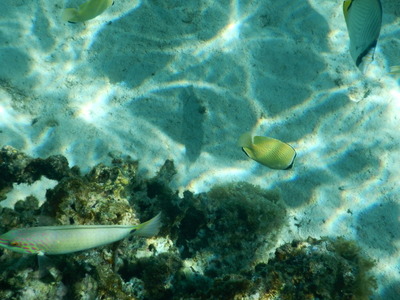 DSCN0351