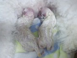 1bd363f8.jpg