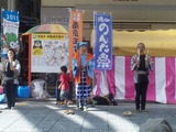 2f6d403b.jpg