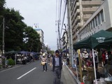 7505b7d1.jpg
