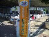 8f8e6211.jpg
