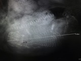 b721716f.jpg