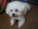 fb11f937.jpg