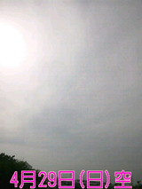 35d384f6.jpg