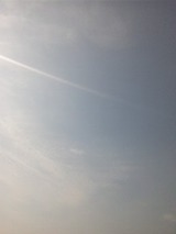 490482cb.jpg