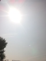 535e1e2d.jpg