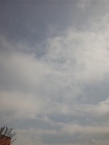 54e85a85.jpg
