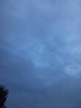 5546be39.jpg