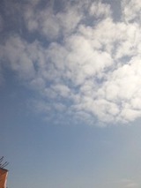 64758126.jpg