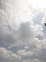 7f9c7144.jpg