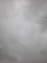 a9553f1c.jpg