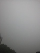 a9b57133.jpg