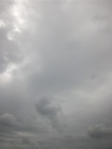 b56f9899.jpg