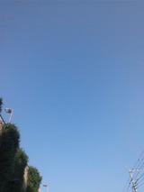 d38e4e83.jpg