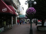 Street9564