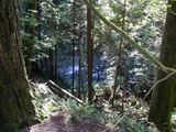 Lynn Canyon river 9816