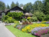 Tea House9754