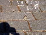 この指とまれ