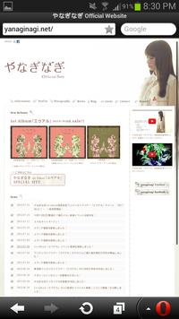 Screenshot_2013-07-25-20-30-20